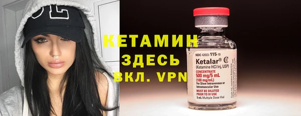 стаф Вязьма