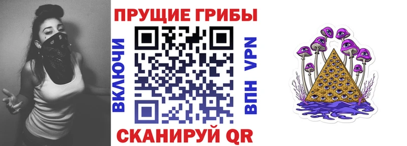 shop телеграм  Дагестанские Огни  Псилоцибиновые грибы мухоморы 
