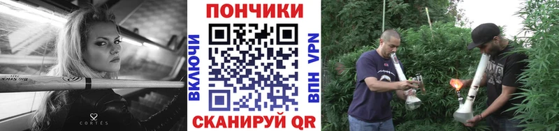 Конопля THC 21%  продажа наркотиков  Дагестанские Огни 